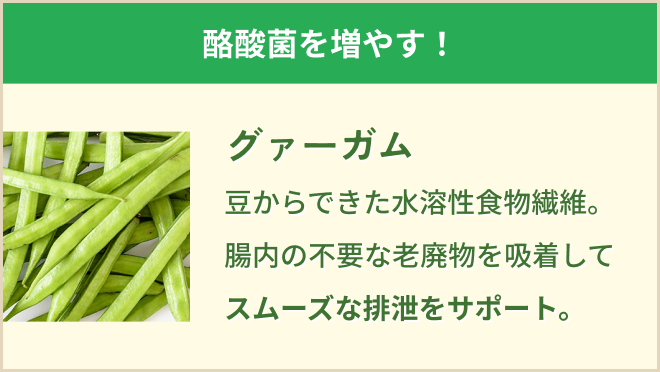 グァーガムの説明