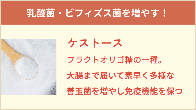 ケストースの説明