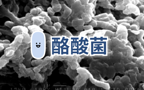酪酸菌