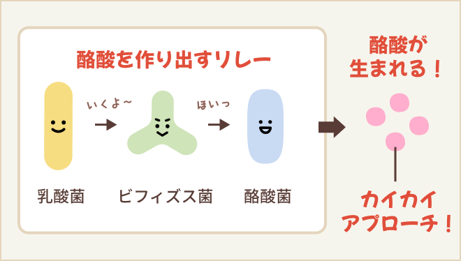 酪酸を作り出すリレーの図