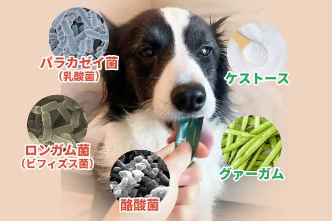 タムズの成分説明