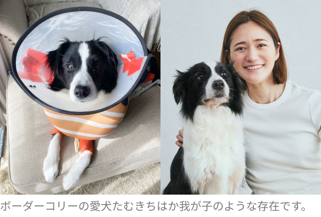 愛犬たむきちと私ハミルトン