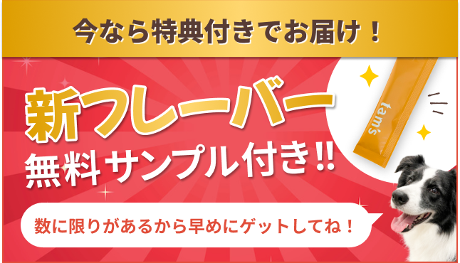 サンプルプレゼント