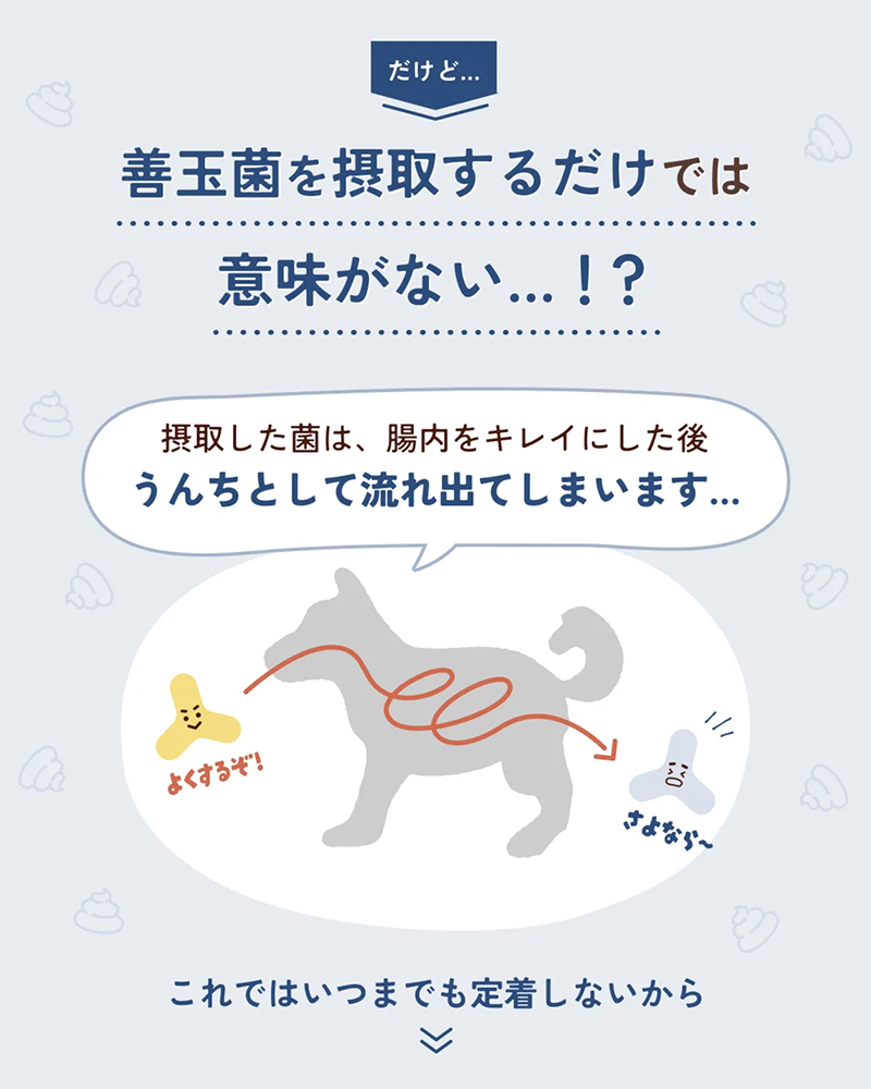 tam's おなかと皮膚のサプリメント（ヤギミルクオレンジ味）