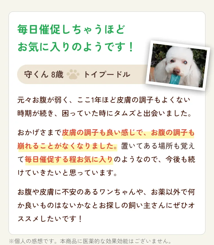 トイプードルのお客様