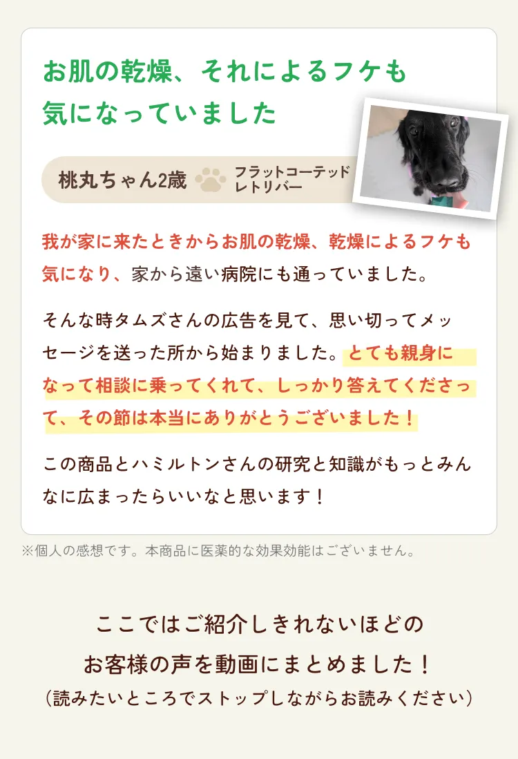 フラットコーテッドレトリバーのお客様