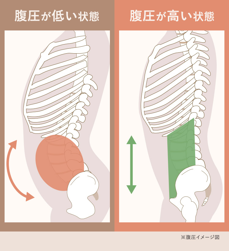 腹圧が低い状態 腹圧が高い状態