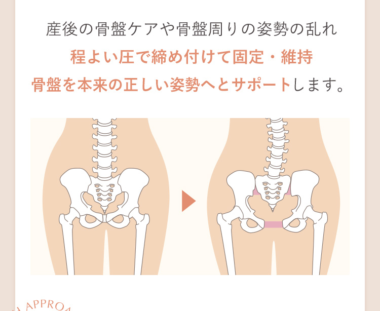 骨盤を本来の形へとサポートします。