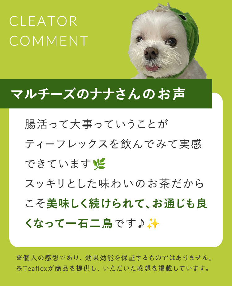 クリエイターコメント3