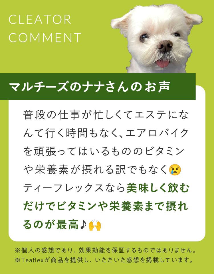 クリエイターコメント4