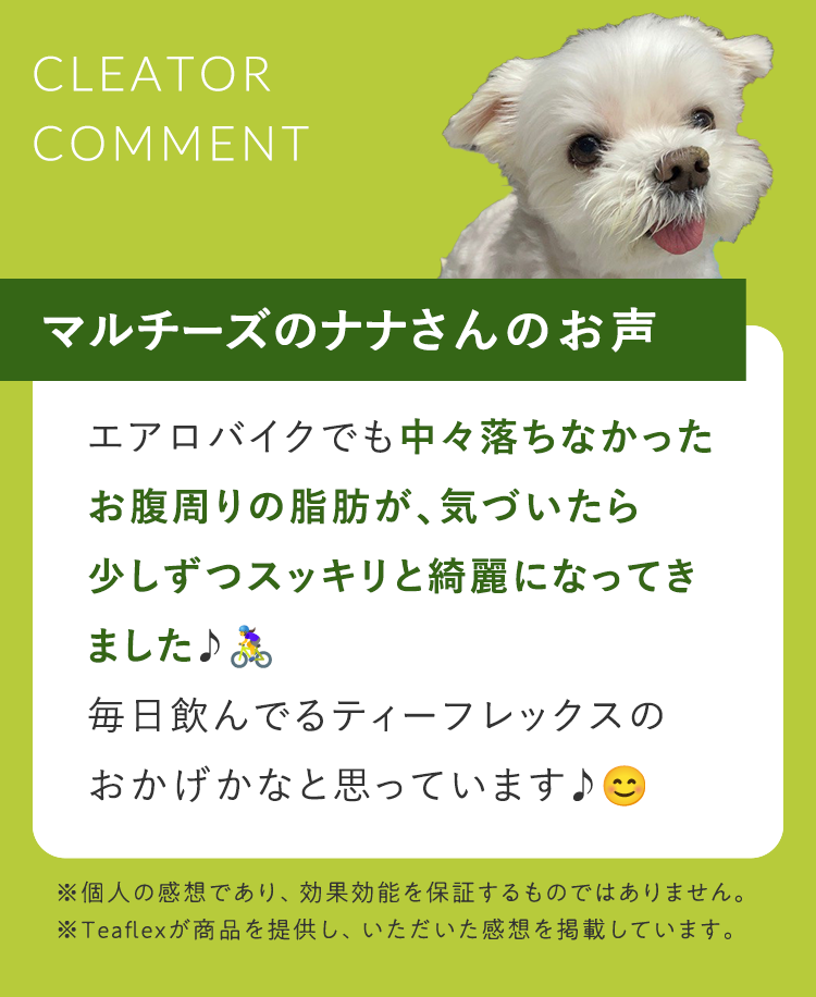 クリエイターコメント2