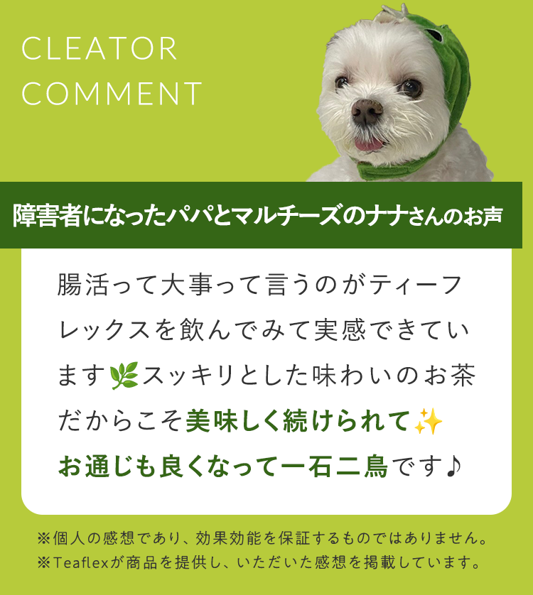クリエイターコメント3