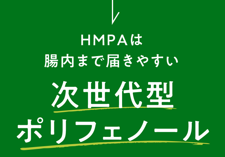 HMPAは腸内まで届きやすい次世代型ポリフェノール