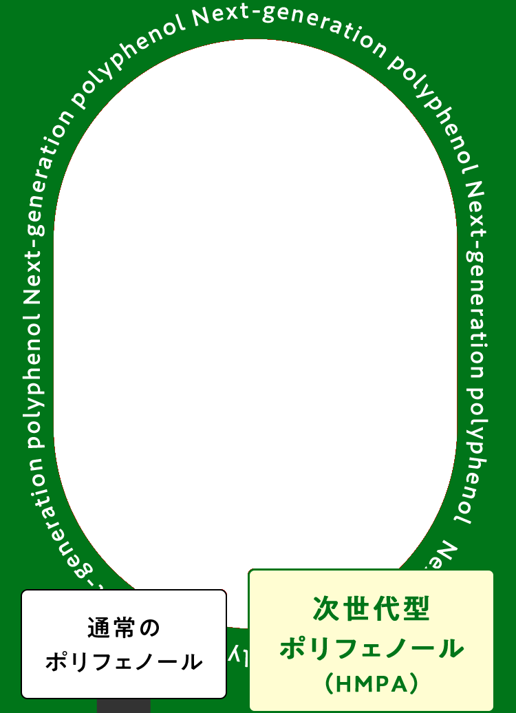 通常のポリフェノール 次世代型ポリフェノール(HMPA)