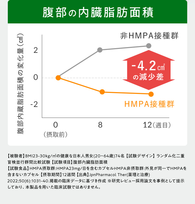 腹部の内臓脂肪面積