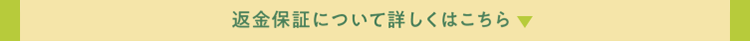 詳しくはこちら
