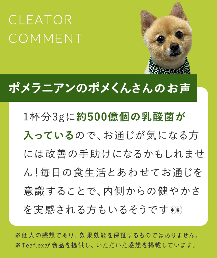 クリエイターコメント3