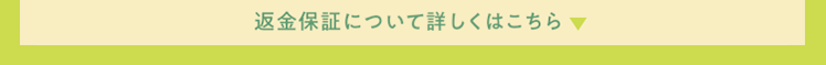 詳しくはこちら