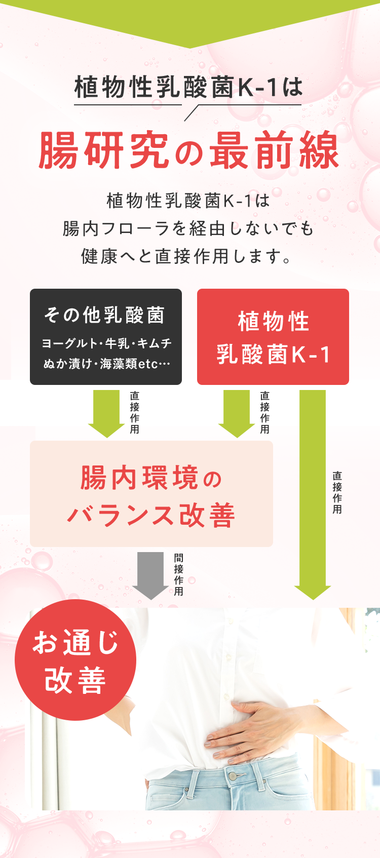 植物性乳酸菌k-1は腸研究の最前線
