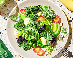 メニューのイメージ