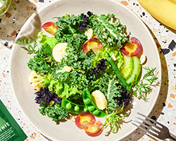 メニューのイメージ