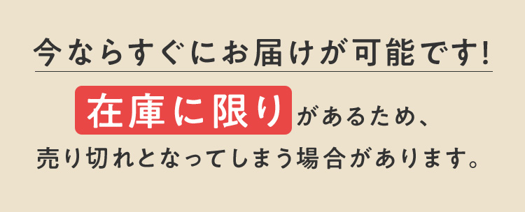 今ならすぐにお届けが可能です！