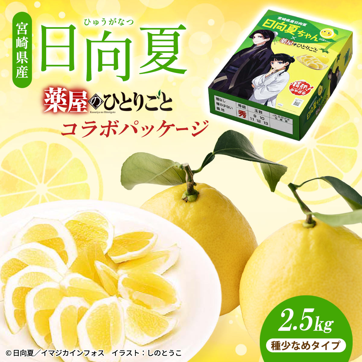 宮崎県産 日向夏 小説「薬屋のひとりごと」コラボパッケージ 2.5㎏（種少なめタイプ）