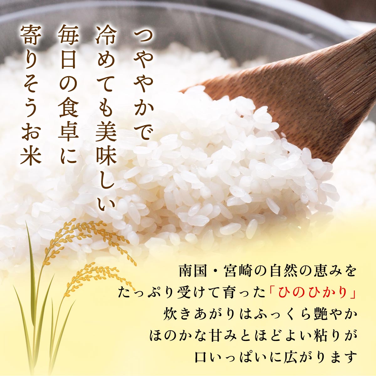 【令和7年産】宮崎県産 無洗米 ひのひかり 5kg