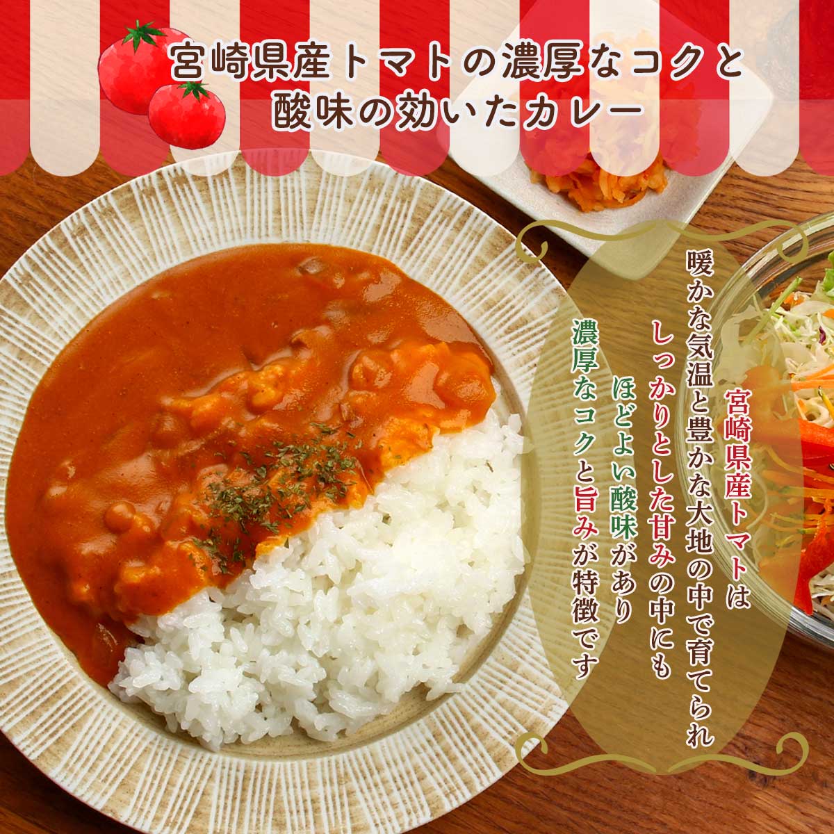 みやざきトマトカレー160ｇ×6個セット