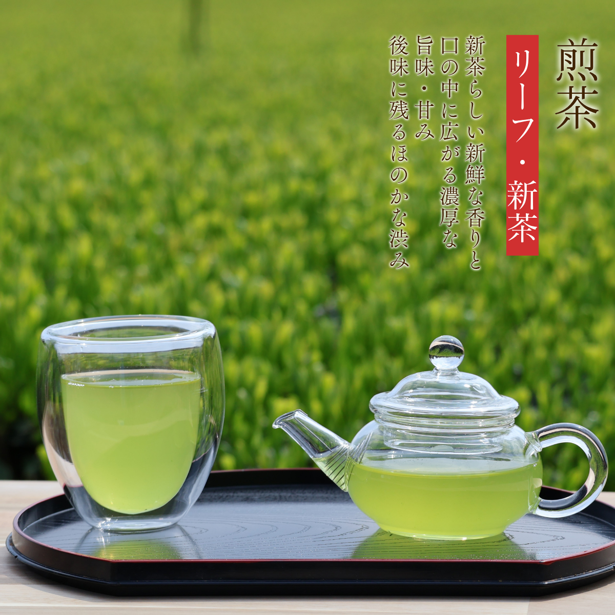 新茶　茶師の本懐　煎茶50ｇ
