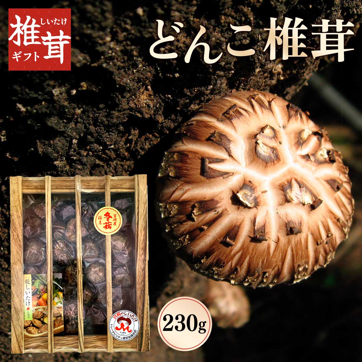 椎茸ギフト どんこ椎茸(230g)