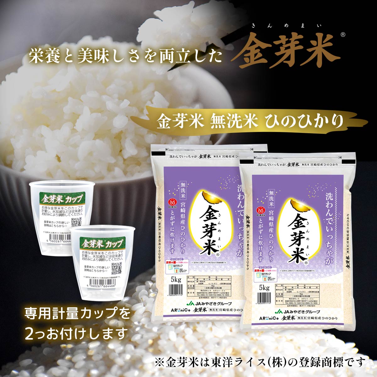 【専用計量カップ2個つき！】金芽米 宮崎県産 無洗米ひのひかり 5kg×2袋