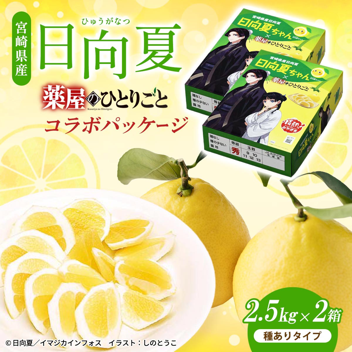 宮崎県産 日向夏 小説「薬屋のひとりごと」コラボパッケージ 2.5㎏×2（種ありタイプ）