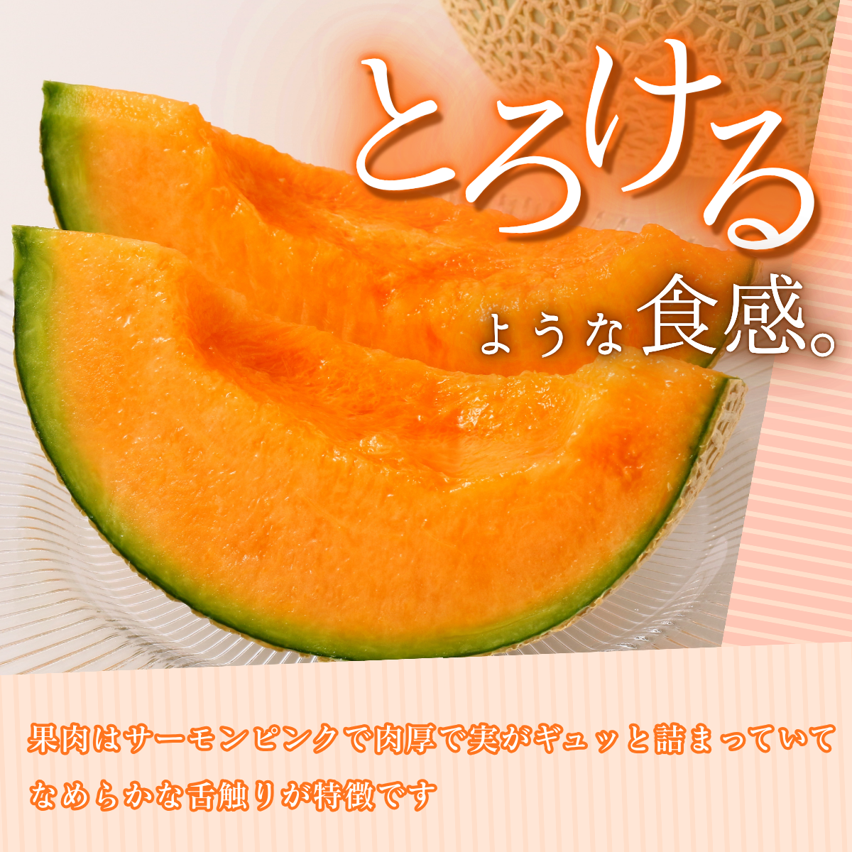 赤肉メロン(2玉入)