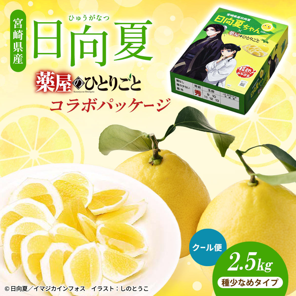 【クール便】宮崎県産 日向夏 小説「薬屋のひとりごと」コラボパッケージ 2.5kg（種少なめタイプ）