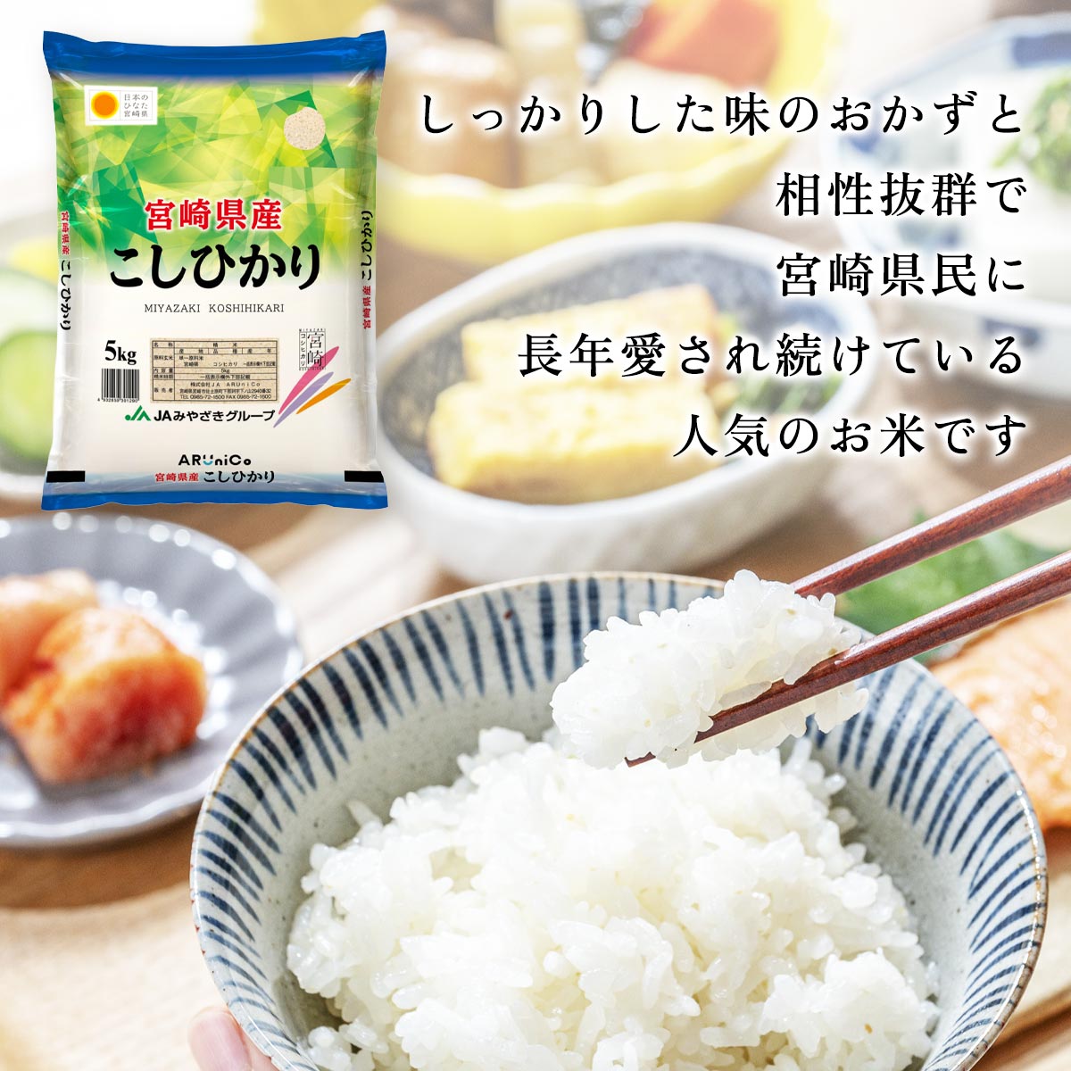 【令和7年産】宮崎県産 こしひかり 5kg×2