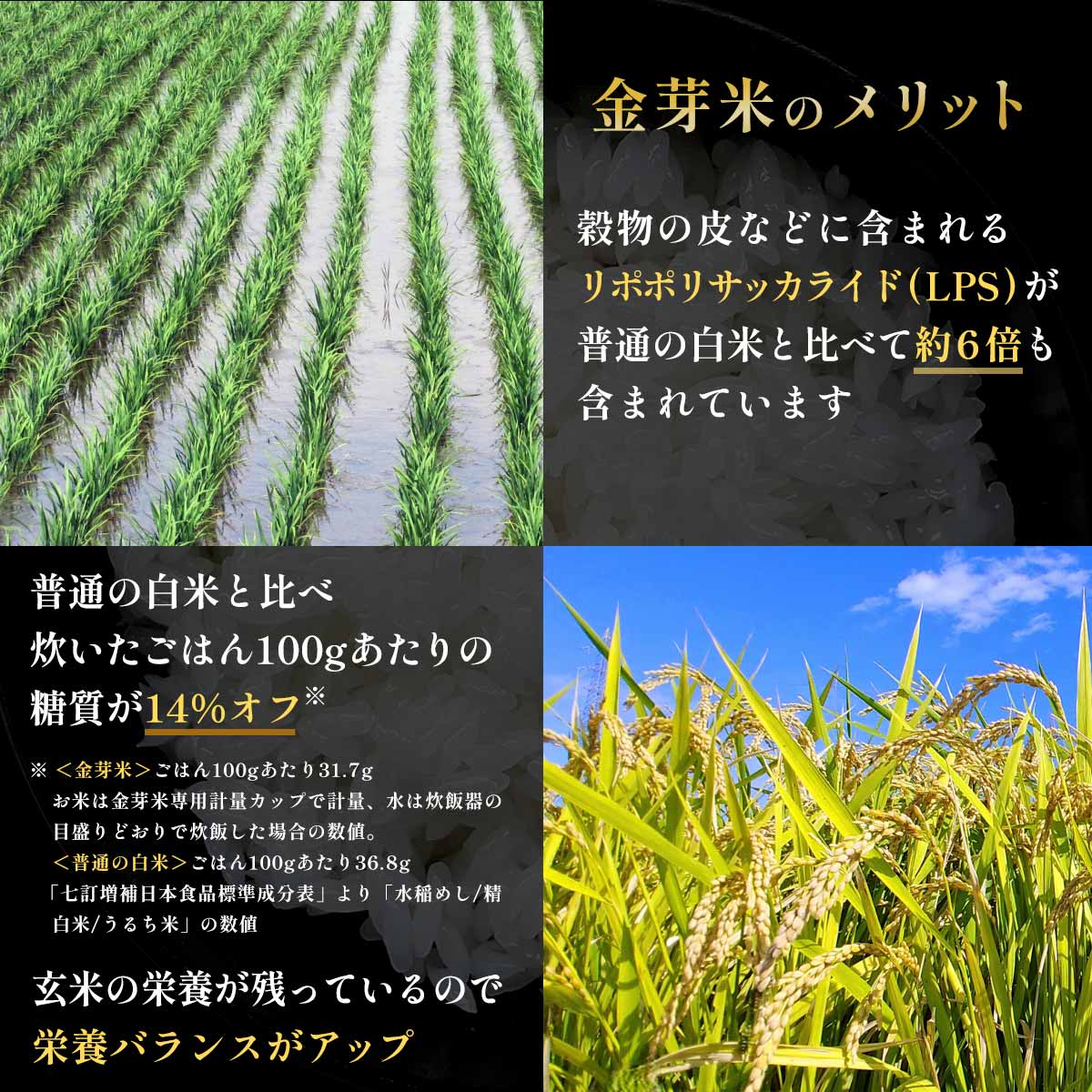 【専用計量カップ2個つき！】金芽米 宮崎県産 無洗米ひのひかり 5kg×2袋