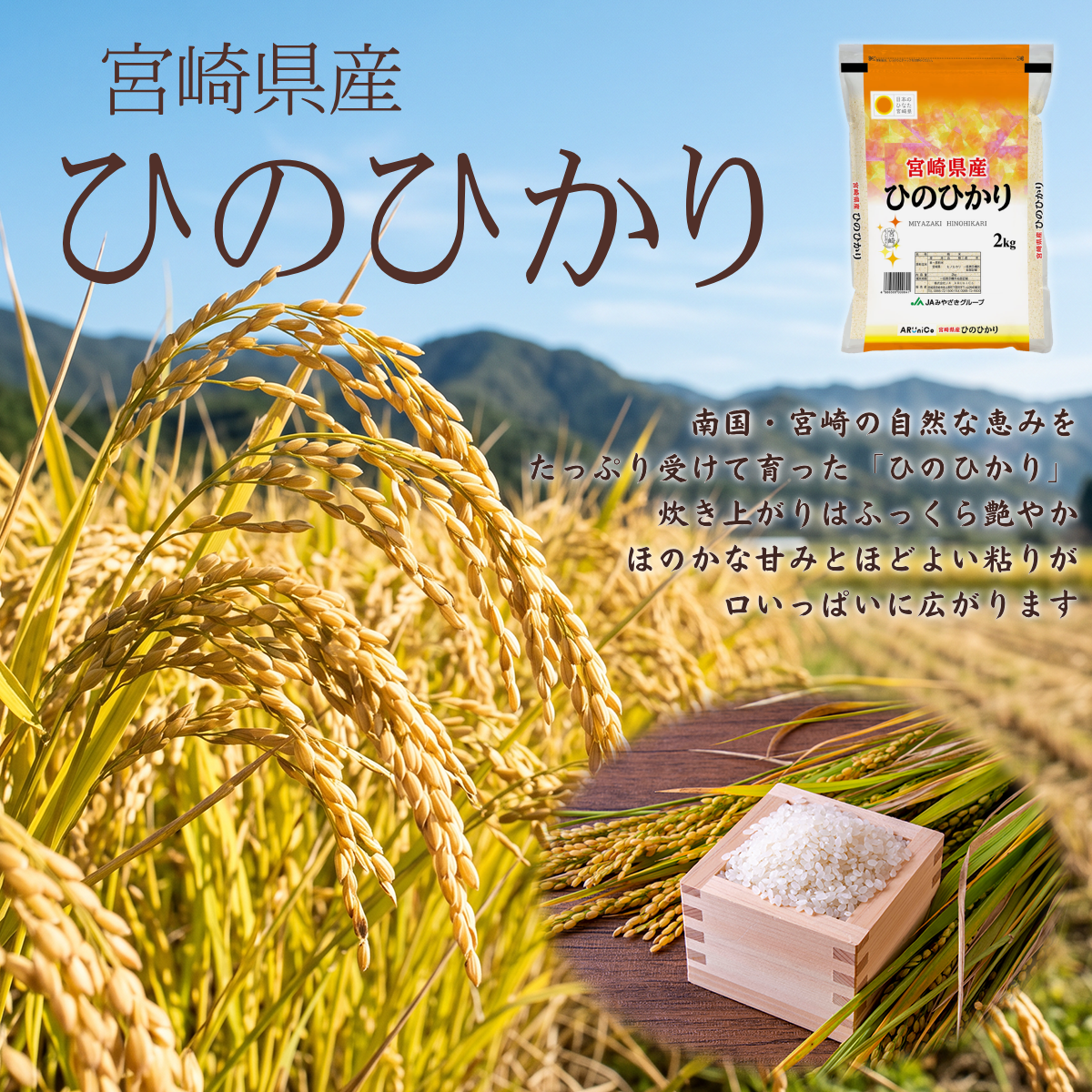 ₌配信紹介商品₌ 宮崎県産ひのひかり × 生節3種セット