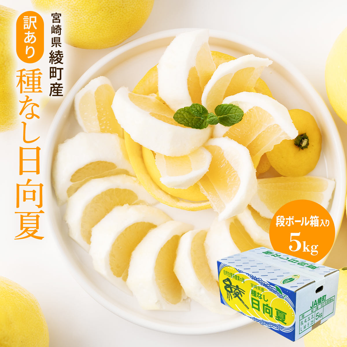 【訳あり】種なし日向夏DB 5㎏