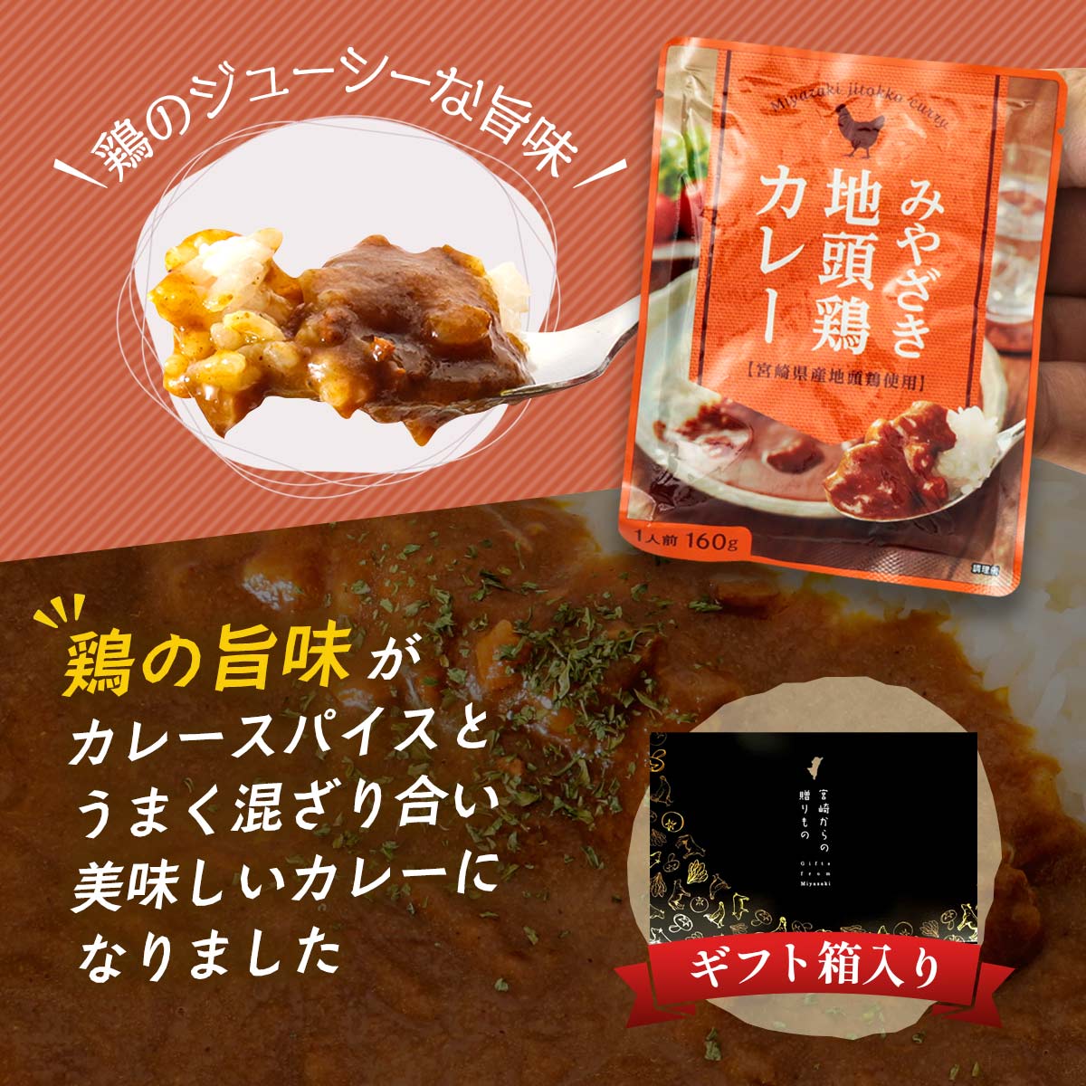 【ギフト箱入】地頭鶏カレー
