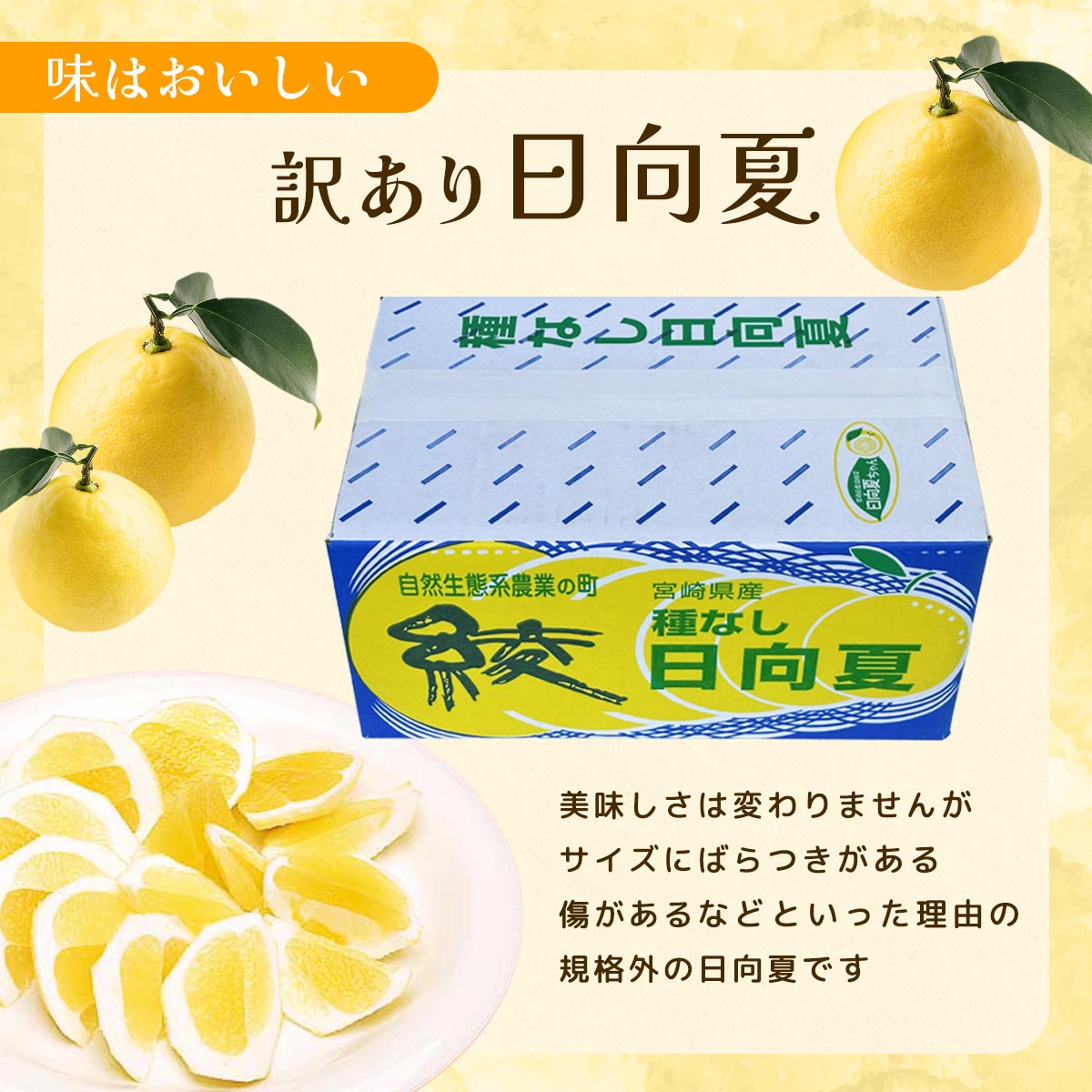 【訳あり】種なし日向夏DB 5㎏