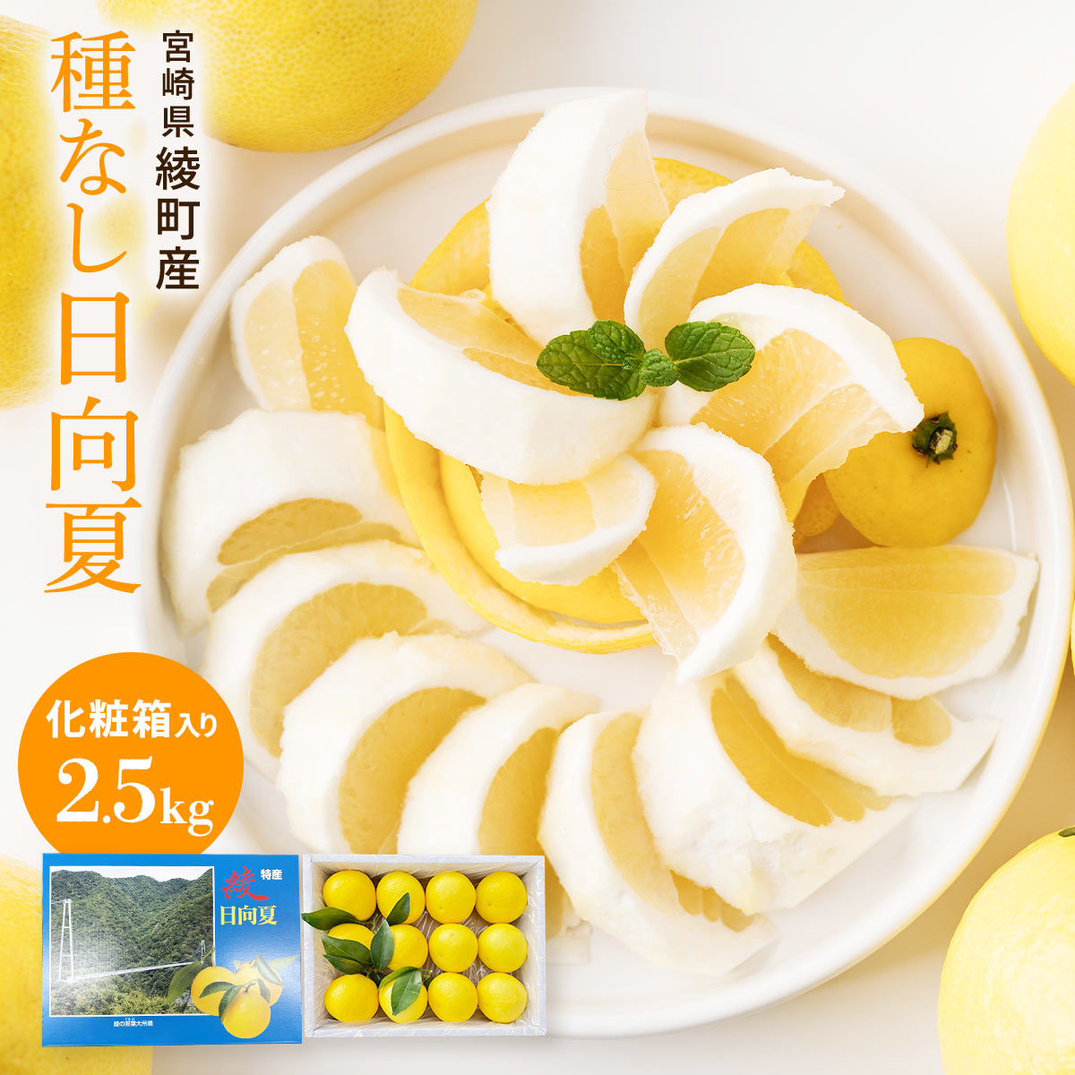 種なし日向夏　化粧箱