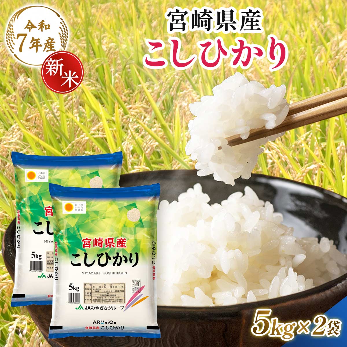 【令和7年産】宮崎県産 こしひかり 5kg×2