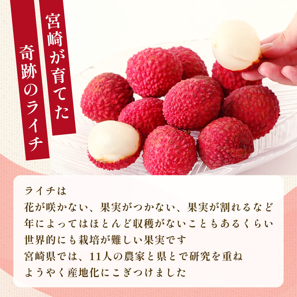 宮崎県綾町産 生ライチ食べ比べセット