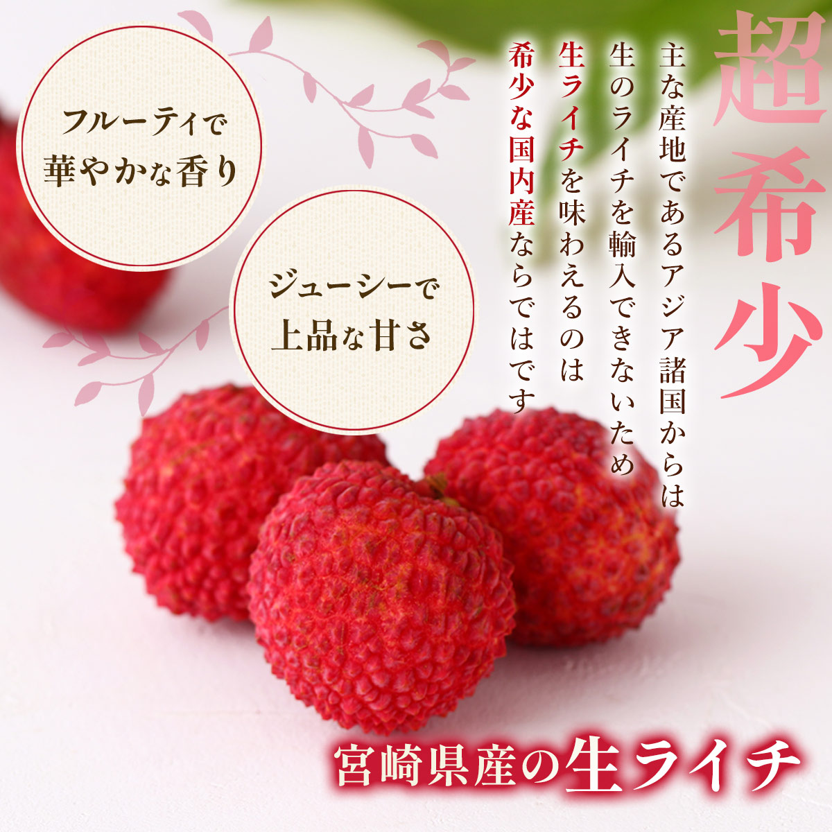 宮崎県綾町産 生ライチ食べ比べセット