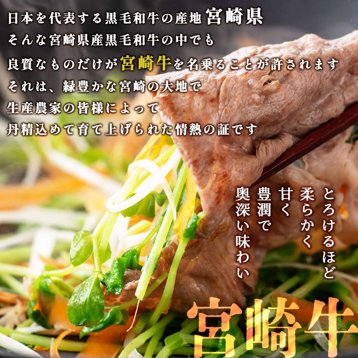 宮崎牛 焼肉・焼きしゃぶ 1.5kgセット