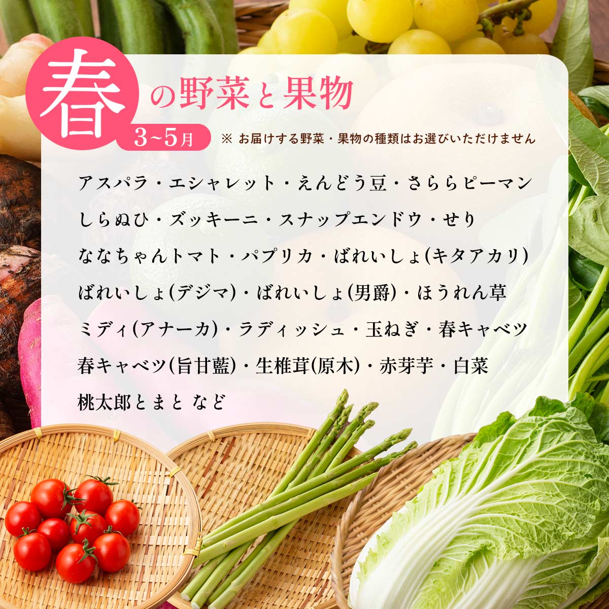 おすず村 厳選詰め合わせセット（小）