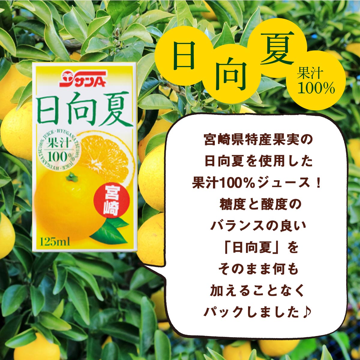 サンA 日向夏ジュース100％