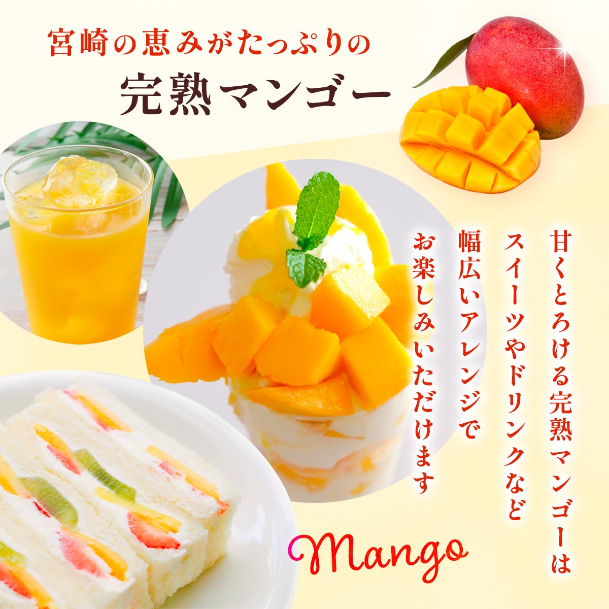 みやざき完熟マンゴー【700ｇ 化粧箱入】