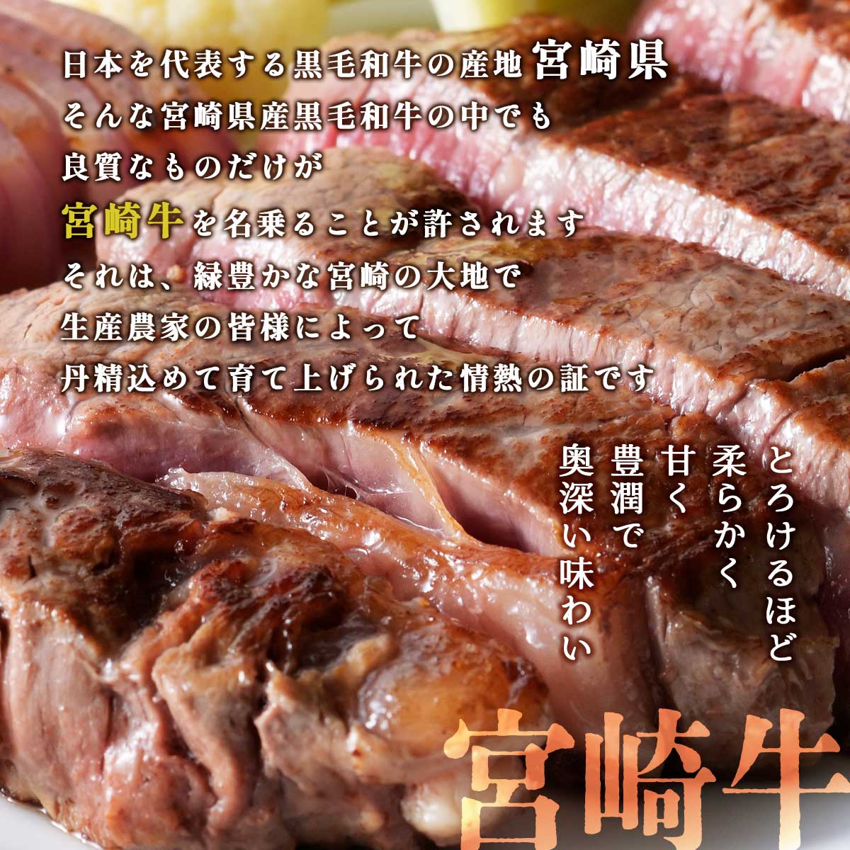 宮崎牛 ヒレステーキ